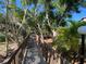 Exterior wooden walkway surrounded by trees and tropical foliage at 7560 Fairway Woods Dr # 305, Sarasota, FL 34238