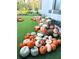Festive pumpkin patch event creates a charming seasonal display for residents to enjoy at 8304 Shooting Star Rd, Sarasota, FL 34241