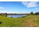 Expansive lake view in a community of homes, surrounded by grassy lawns and native plants at 19337 Cruise Dr, Venice, FL 34292
