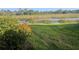 Tranquil backyard view of a beautiful pond, with lush greenery and plants in the foreground at 23493 Copperleaf Dr, Venice, FL 34293