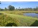 Scenic backyard pond view with lush landscaping that enhances the natural appeal of this serene property at 23493 Copperleaf Dr, Venice, FL 34293