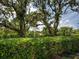 Backyard view with lush greenery at 25784 Grayton Ave, Englewood, FL 34223