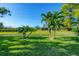 Lush green backyard with tropical landscaping featuring palm trees and a glimpse of the house in the background at 316 Signorelli Dr, Nokomis, FL 34275
