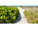 Scenic beach path framed by lush greenery, leading to sandy shores and ocean views at 429 Riviera St, Venice, FL 34285