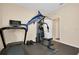 Gym with full gym system, dumbells, and treadmill, complete with marlin trophy decoration at 5222 Granite Dust Pl, Palmetto, FL 34221