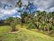 Lush backyard with verdant lawn, mature trees, and vibrant vegetation at 12728 Richezza Dr, Venice, FL 34293