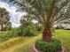 Beautifully landscaped backyard with manicured lawn, lush greenery, and mature palm trees at 12728 Richezza Dr, Venice, FL 34293