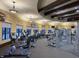 Well-equipped community gym with modern exercise machines and ample natural light at 12728 Richezza Dr, Venice, FL 34293