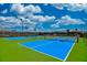 Well-maintained community pickleball courts with blue playing surfaces and green surroundings at 13873 Karina St, Venice, FL 34293