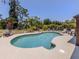 The in-ground pool is surrounded by lush greenery and lounge chairs for outdoor enjoyment at 2331 Mission Valley Blvd, Nokomis, FL 34275
