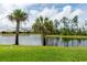 Scenic view of the pond with lush greenery and mature palm trees at 249 Tracino Ter, Nokomis, FL 34275