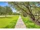 Enjoy a stroll on the sidewalk, surrounded by lush greenery and mature trees at 3382 Mermoor Dr # 3102, Palm Harbor, FL 34685