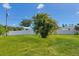 Fenced backyard featuring green grass, palm tree and a blue sky at 381 La Playa Ln, Port Charlotte, FL 33953