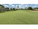 Close up of a well-manicured green on a golf course, complete with flag, showcasing a lush and challenging play area at 421 Cerromar Ter # 471, Venice, FL 34293