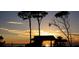 Serene beach scene with a vibrant sunset sky, silhouetted trees, and a tranquil view of the sea at 421 Cerromar Ter # 471, Venice, FL 34293