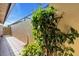 Backyard view of lush landscaping and walkway at 57 Sandstone Cir, Venice, FL 34293