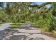 A private driveway winding through a lush, green landscape with mature trees at 5850 Saddle Oak Trl, Sarasota, FL 34241