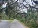 Scenic driveway lined with lush trees and moss, offering a serene approach at 5850 Saddle Oak Trl, Sarasota, FL 34241