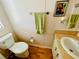 Bathroom with a sink, toilet, and framed painting on the wall at 615 S Green Cir, Venice, FL 34285