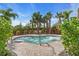A secluded community hot tub enclosed by bushes and greenery at 10410 Inglenook Ter, Palmetto, FL 34221