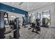 Well-equipped fitness center with modern weight machines, mirrors, and plenty of natural light at 12538 Somatic Ct, Venice, FL 34293