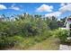 Private backyard space filled with mature trees and vegetation, perfect for nature lovers and outdoor activities at 27416 Natal Dr, Punta Gorda, FL 33983