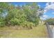 Lush backyard featuring mature trees and greenery, offering privacy and a connection with nature at 27416 Natal Dr, Punta Gorda, FL 33983