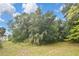 Expansive backyard with mature trees, offering a serene and private outdoor experience at 27416 Natal Dr, Punta Gorda, FL 33983
