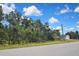 Street view showcasing a property enveloped by lush vegetation under a bright, cloudy sky at 27416 Natal Dr, Punta Gorda, FL 33983