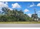 Property view from the street, partially obscured by dense foliage and trees, under a sky with scattered clouds at 27416 Natal Dr, Punta Gorda, FL 33983