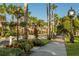 Beautiful street view featuring lush landscaping, palm trees, street lights, and pedestrian pathway at 5853 Semolino St, Nokomis, FL 34275