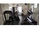 Well-equipped gym with treadmills, elliptical machines, and weightlifting equipment at 5966 Willows Bridge Loop, Ellenton, FL 34222