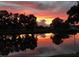 Sunset reflecting on a pond with trees silhouetted against a colorful evening sky at 5966 Willows Bridge Loop, Ellenton, FL 34222