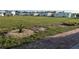 A well-landscaped backyard with grass and a brick trim leading to the single-story home at 902 Jolanda Cir, Venice, FL 34285