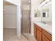 Bathroom featuring single sink vanity, walk-in shower, and walk-in closet at 11649 Tempest Harbor Loop, Venice, FL 34292
