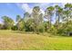 Lush green backyard featuring mature trees and landscaping, offering a private outdoor space at 12370 Canavese Ln, Venice, FL 34293