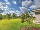 Lush backyard featuring a tree with red flowers, healthy grass, and a black metal fence at 12705 Pinnacle Ln, Venice, FL 34293