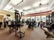 A fully equipped fitness center with state-of-the-art exercise machines, weights and mirrors at 13486 Nobilio St, Venice, FL 34293
