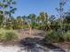Fun playground with wooden structures and natural landscaping for outdoor adventures at 15364 Isla Palma Ln, Nokomis, FL 34275