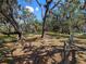 Expansive yard featuring mature trees and a rustic fence line, creating a peaceful setting at 27215 Crosby Rd, Myakka City, FL 34251