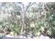 Lush tropical foliage and trees beyond the screen window create privacy at 320 Clearbrook Cir # 203, Venice, FL 34292