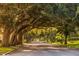 Shaded street with mature trees, highlighting the scenic landscape and neighborhood charm at 418 Cerromar Ct # 158, Venice, FL 34293