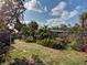 Expansive green backyard with tropical plants at 602 Bonito Ave, Nokomis, FL 34275