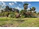 Green backyard with mature trees, landscaping, and shed offering outdoor enjoyment at 602 Bonito Ave, Nokomis, FL 34275