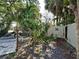 Backyard with a variety of tropical foliage at 602 Bonito Ave, Nokomis, FL 34275