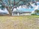 Spacious backyard of a single-story home with a large tree and a well-maintained lawn at 7140 Teaberry St, Englewood, FL 34224
