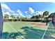 Outdoor basketball court surrounded by palm trees with net enclosure at 11624 Garessio Ln, Sarasota, FL 34238
