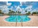 Community pool surrounded by lounge chairs and tropical palm trees at 11624 Garessio Ln, Sarasota, FL 34238