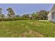 Beautiful backyard with lush green grass and a line of trimmed hedges at 1228 Pineland Ave, Venice, FL 34285