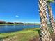 Picturesque backyard view of the lake, framed by palm trees and lush green grass at 13016 Rinella St, Venice, FL 34293